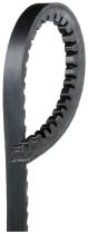 Dayco 10A1050C - CORREA TRAP.