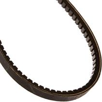 Dayco BX53 - COR.TIPO GOLD LABEL SC."BX"-17X11MM