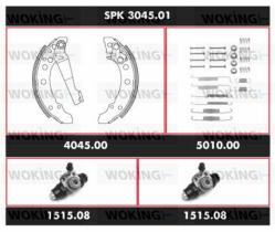 Woking SPK304501 - KIT ZAP.TRS.PREM.