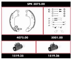 Woking SPK307500 - KIT ZAP.TRS.PREM.PEUG.205  (+ SERVO)