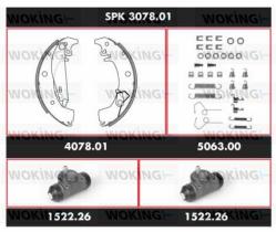 Woking SPK307801 - KIT ZAP.TRS.PREM.