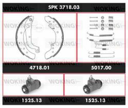 Woking SPK371803 - KIT ZAP.TRS.PREM.