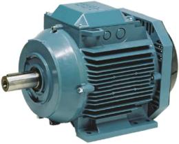 Euromaquinas 2300139 - MOTOR ELEC.3HP TRIF 400/50/II TIPO 80