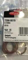Delphi 72000019 - O RING-PK10