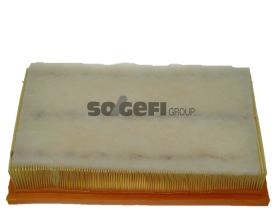 Fram CA9022 - FILTRO AIRE FORD/SEAT/VW