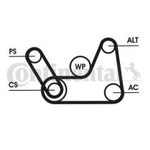 Continental 6PK1019ELASTT1 - CORREA ALT.