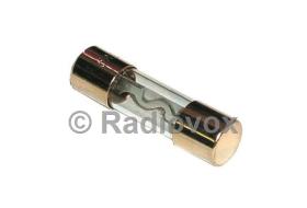 Radiovox 582639 - FUSIBLE RAPIDO AGU ORO 80A