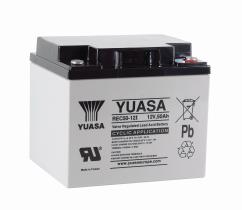 Yuasa REC5012 - BATERIA 12/50A 197X165X17 CICLICA GOLF/SILLAS ELECTR.