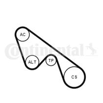 Continental 5PK1150K1 - KIT CORREA+ROD.ALFA/FIAT