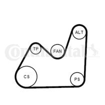 Continental 5PK1432K1 - KIT CORREA+ROD.AUDI/SKODA/VW