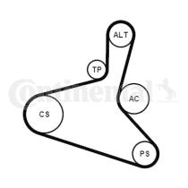 Continental 6DPK1195K1 - KIT CORREA+ROD.AUDI/SEAT