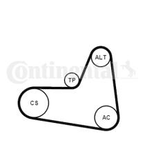 Continental 6PK1045K2 - KIT CORREA+ROD.AUDI/SEAT/SKODA