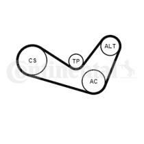 Continental 6PK1050K2 - KIT CORREA+ROD.AUDI/SEAT/SKODA