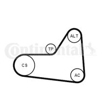 Continental 6PK1070K1 - KIT CORREA+ROD.AUDI/SEAT/SKODA