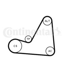 Continental 6PK1070K3 - KIT CORREA+ROD.CITR/PEUG.