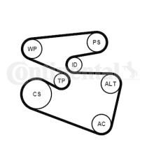 Continental 6PK1555K3 - KIT CORREA+ROD.ESCORT 1.6 16V