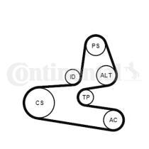 Continental 6PK1564K1 - KIT CORREA+ROD.CITR/FIAT