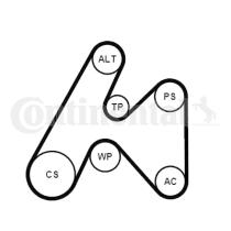 Continental 6PK1660K3 - KIT CORREA+ROD.REN