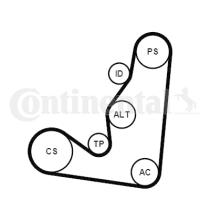 Continental 6PK1660K4 - KIT CORREA+ROD.CITR/PEUG