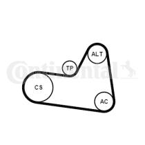 Continental 6PK1710K1 - KIT CORREA+ROD.CITR/PEUG