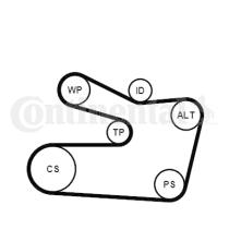 Continental 6PK1733K2 - KIT CORREA+ROD.BMW S3/Z3