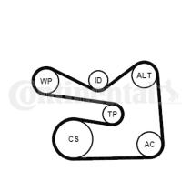 Continental 6PK1733K3 - KIT CORREA+ROD.AUDI/SEAT/SKODA