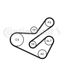 Continental 6PK1740K1 - KIT CORREA+ROD.CITR/FIAT/LANCIA