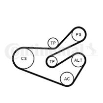 Continental 6PK1740K3 - KIT CORREA+ROD.CITR