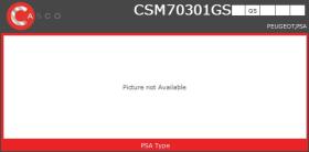 Casco CSM70301GS - MOTOR ELE DIREC 12V 82A PSA