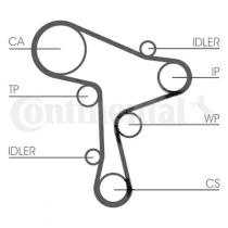 Continental CT1168WP2 - KIT DISTR+BOMBA