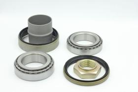 Skf NFB5404 - COJINETE RUEDA